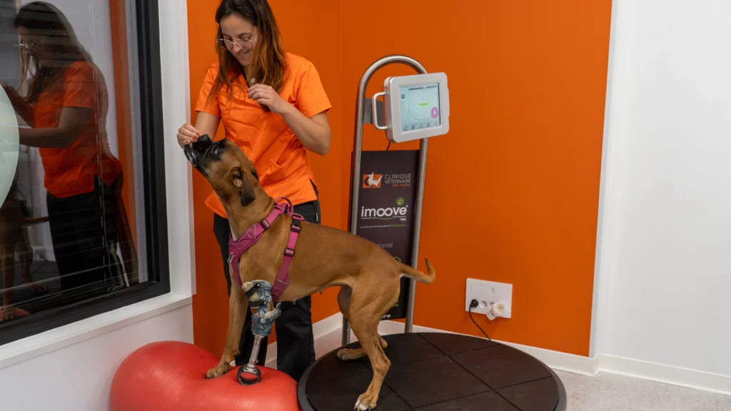 A propos de bête de com'
Portrait d'Océane